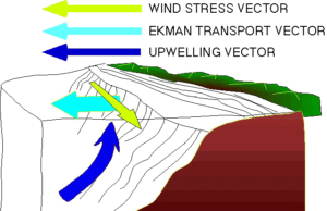 True Meluncurkan Solusi Penilaian & Pelatihan Ringan, True Advance, Melalui Akuisisi Bleeker