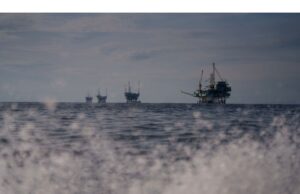 Negara-negara Pasifik Memperingatkan Perusahaan Asuransi akan Kerugian sebesar Kebakaran Hutan akibat Risiko Minyak