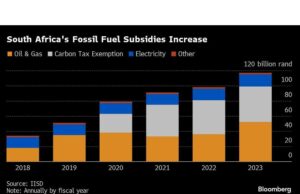 Subsidi Bahan Bakar Fosil Afrika Selatan Mencapai $6 Miliar, Studi Menunjukkan