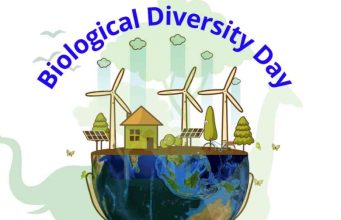 Sekolah Ontario Melindungi Keanekaragaman Hayati dan Spesies Tanaman Asli Greenbelt melalui Program EcoSchools