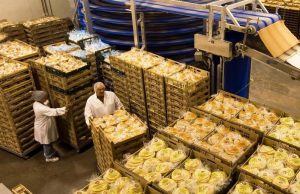 William Watson: Sama lama, sama sampai tahun 2050?