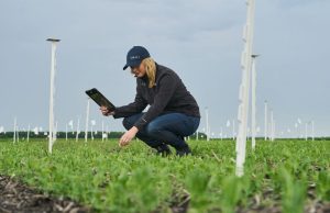 Bagaimana AI dapat membantu pertanian menjadi lebih efisien dan berkelanjutan