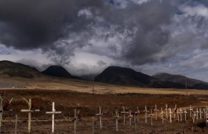 ‘Tidak ada jaringan yang sempurna’: Kebakaran hutan menggarisbawahi tantangan ketahanan bagi telekomunikasi