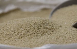 3 mineral penting baru ditambahkan ke daftar Ottawa