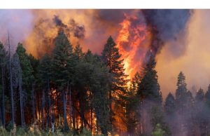 Kebakaran Besar di Kalifornia Menandakan Prospek Buruk di Tahun 2024