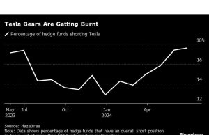 Hedge Funds yang Menumpuk ke dalam Tesla Besar Tersengat Reli Besar