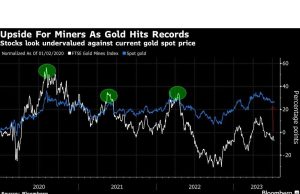 Melonjaknya Harga Membuat Bugs Emas Australia Berharap M&A Berbelanja Secara Royal