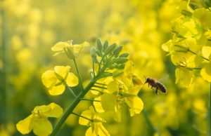 Tarif Trump harus dibayar mahal