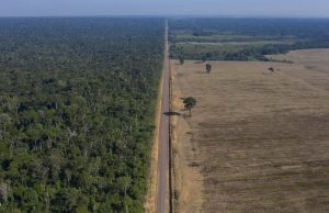 Kelompok lingkungan hidup mengutuk undang-undang baru yang mengancam pembatasan kedelai di Amazon, Brasil