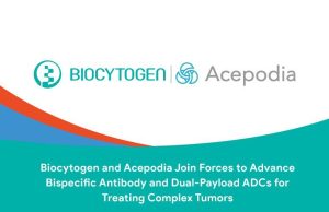 Biocytogen dan Acepodia Bergabung untuk Memajukan Antibodi Bispesifik dan ADC Payload Ganda untuk Mengobati Tumor Kompleks