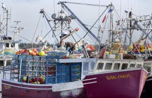 Ketika Trump mengambil alih kekuasaan, perusahaan makanan laut Atlantik Kanada berupaya melakukan diversifikasi pasar ekspor