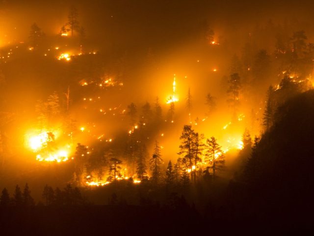 0208-mg-wildfire.jpg