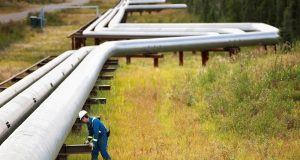 Pipa tidak lagi menjadi pipa pipa? Video FP memeriksa apa yang berubah