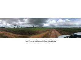GoldHaven Highlights Copeçal Gold Project’s Potential in Brazil, Advancing on AngloGold’s Historic Exploration Work