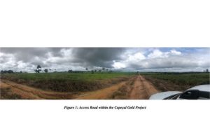 GoldHaven Highlights Copeçal Gold Project’s Potential in Brazil, Advancing on AngloGold’s Historic Exploration Work