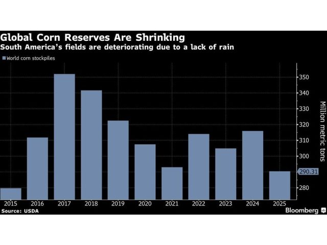 global-corn-reserves-are-shrinking-south-americas-fields-ar.jpg