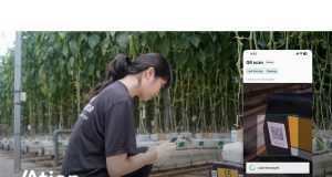 iocrops mengumumkan peluncuran asi untuk mengoptimalkan biaya tenaga kerja dan memaksimalkan laba rumah kaca dengan solusi berbasis data