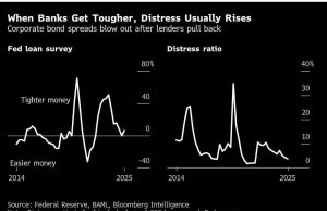 Guru obligasi sampah melihat meningkatnya kesusahan karena bank -bank mengencangkan pinjaman