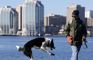 NS Realtors ingin provinsi menjatuhkan kenaikan pajak transfer akta