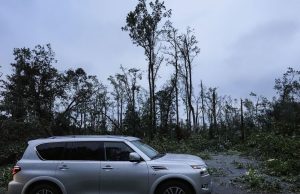 Anggota parlemen Georgia menyetujui $ 300 juta dalam keringanan pajak pertanian dan kayu setelah Badai Helene