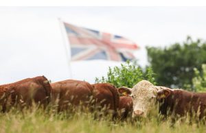 UK siap untuk pembicaraan perdagangan dengan Filipina setelah larangan daging sapi dicabut
