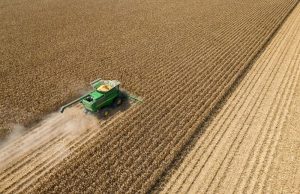 Tarif Trump ditimbang di Laporan Tanaman Pertanian Maret, kata USDA