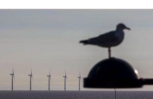 Izin untuk Ladang Angin Lepas Pantai Dibatalkan setelah Trump Menentang Proyek