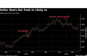 Beruang dolar memanfaatkan gagasan tentang hancur keistimewaan AS
