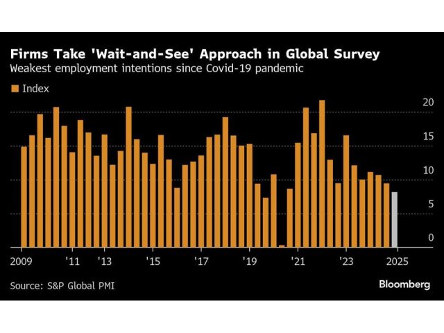 firms-take-wait-and-see-approach-in-global-survey-weakest-e.jpg