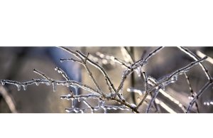 Alectra bekerja melalui Minggu malam untuk mengembalikan daya ke sekitar 18.000 pelanggan