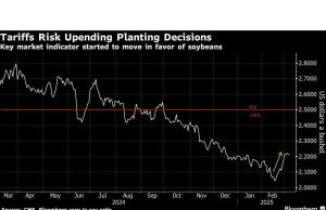 Tarif Trump mengancam pergeseran besar ke jagung karena input mendapatkan pricier