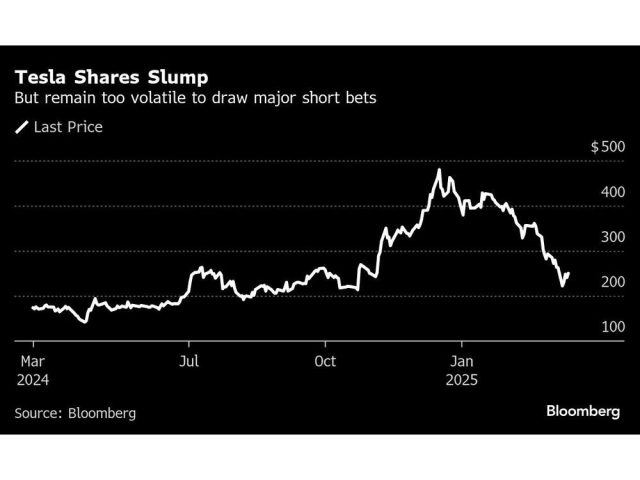 tesla-shares-slump-but-remain-too-volatile-to-draw-major-sh.jpg