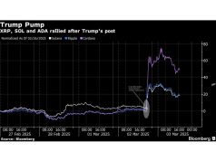 Harga crypto tenggelam pada skeptisisme cadangan truf, kekhawatiran tarif