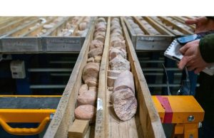 Perdagangan Perang Saps Pasar Saham Kanada Terlepas dari Kesepakatan Logam