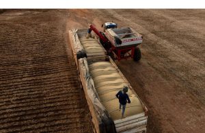 Sektor pertanian China mengikat tarif karena perang dagang memburuk