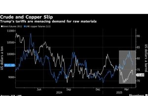 Komoditas mencapai tarif Trump mengancam permintaan dan ekonomi