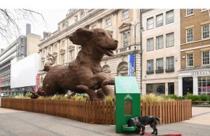 Delapan dari sepuluh pecinta anjing sebanyak mungkin memilih makan malam hewan peliharaan mereka seperti yang mereka lakukan dengan makanan mereka sendiri, penelitian baru telah terungkap