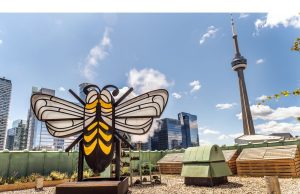 Toronto Downtown West Bia meluncurkan dorongan keberlanjutan utama untuk bulan Bumi dan seterusnya